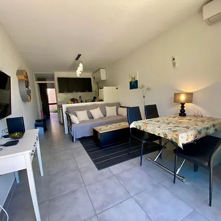 Appartement Renove A 250m De L'etang De Thau Avec Jardinet Et Parking Prive - Fr-1-604-3 *